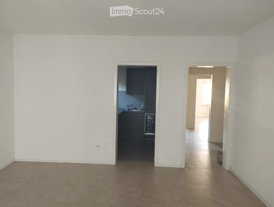 Recherche d'un sous-locataire pour un appartement de 3,5 pièces avec climatisation