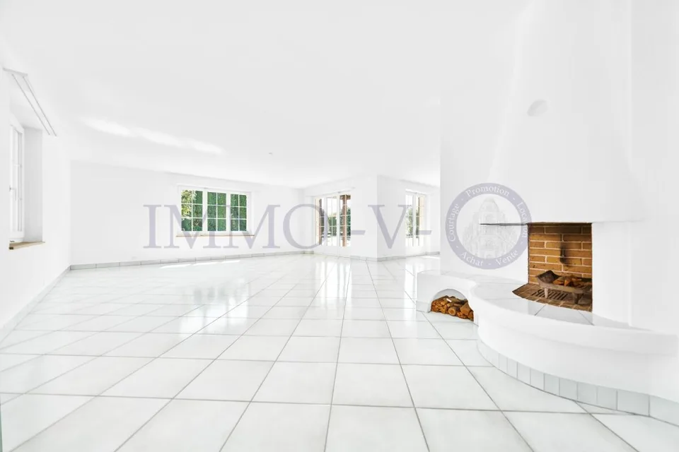 Spacious villa with high standard, large garden and swimming pool