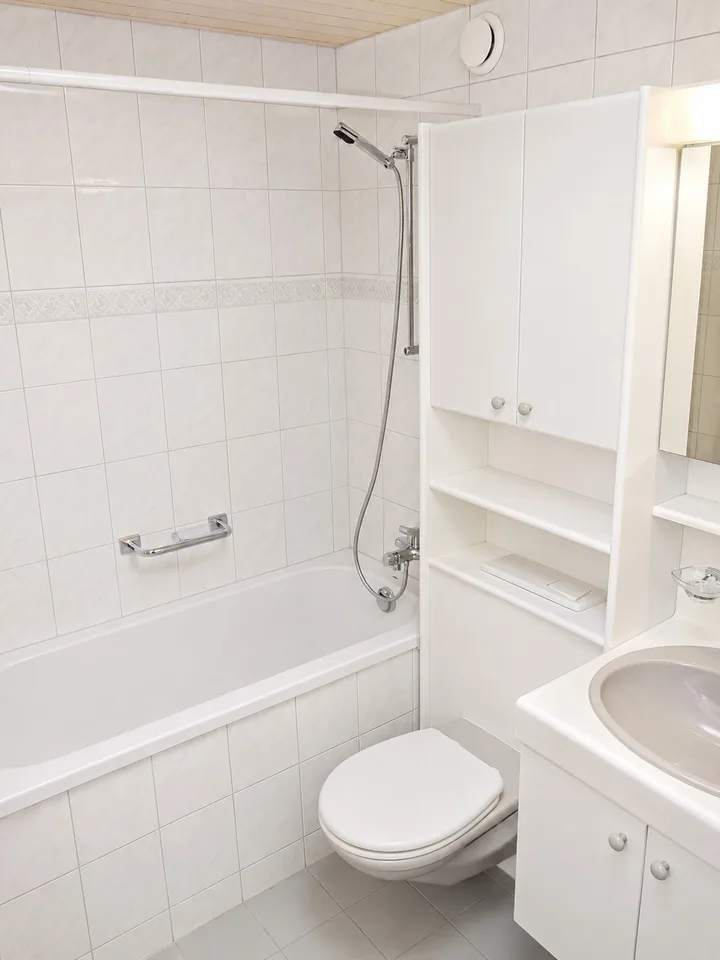 Charming and nature-friendly, bright 4-room apartment for rent in Uetikon am See