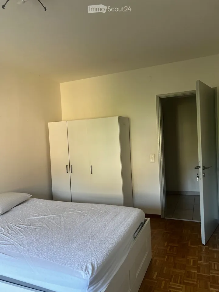 Stanza in affitto di fronte all'USI