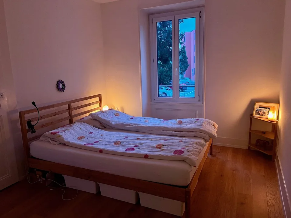 Affascinante appartamento di 3 locali con balcone e accesso al giardino.