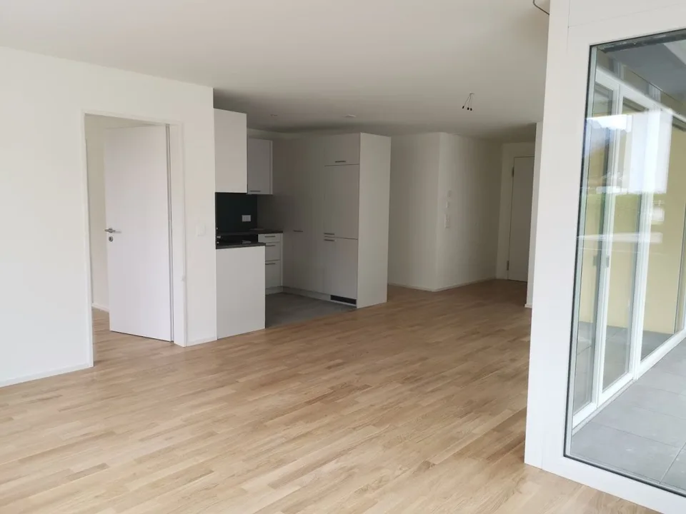 Bello appartamento nuovo di 3,5 locali in affitto