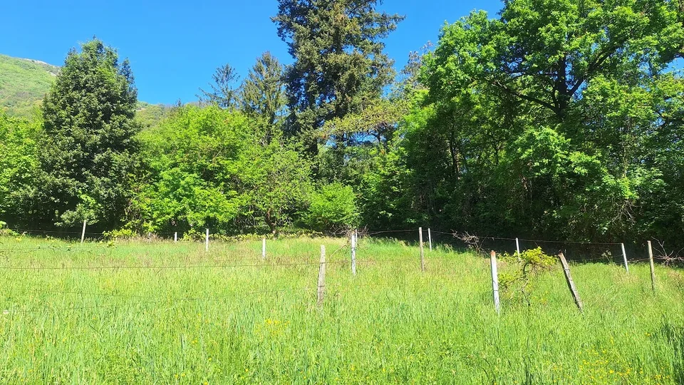 Buildable land of 5'639 m² in sunny, residential position