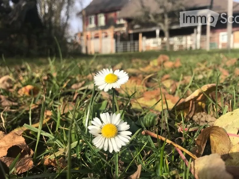 Wohnen im Grünen