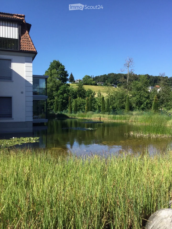 Élégance au bord de l'étang – vie moderne dans un idylle naturelle avec oasis de piscine à Pfaffnau / LU – photo 53 sur 56