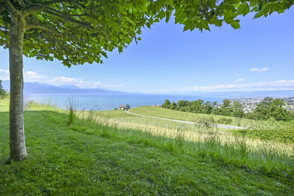 LUTRY - UNICO! VILLA LUSSUOSA AL CENTRO DELLE VIGNE