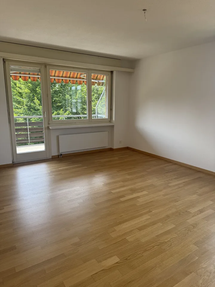 Helle 3-Zimmerwohnung mit Balkon an guter Lage in Winterthur