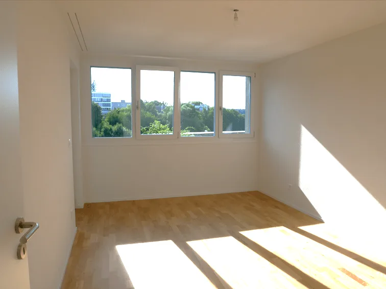 SUPERBES WOHNUNG 4.5 ZIMMER IN CHAMBLIOUX 17