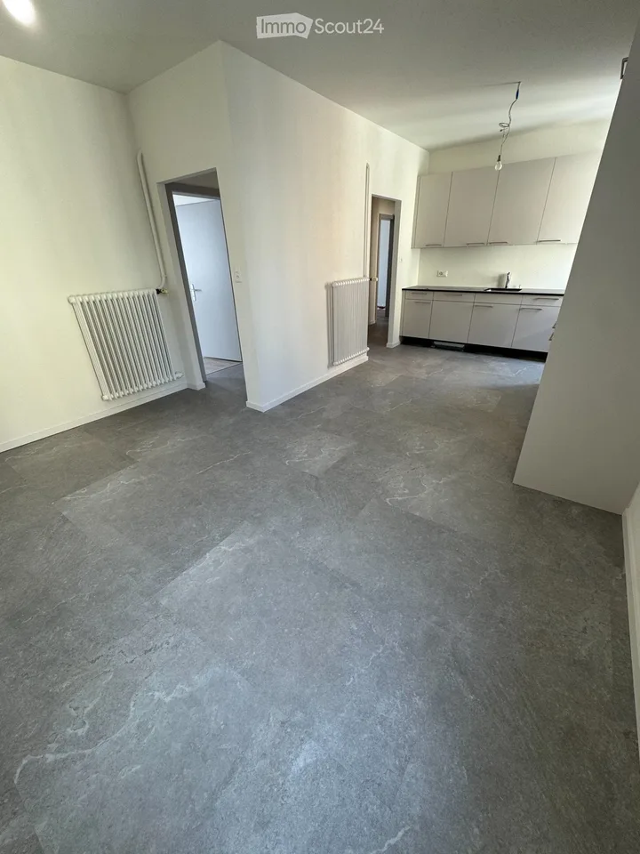 Superbe 3.5pcs entièrement rénové à St-Imier