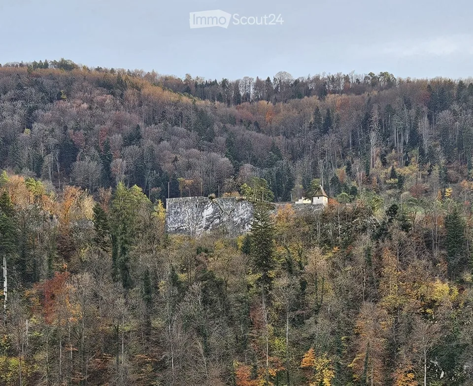 Haus mit Charme und Schlossblick