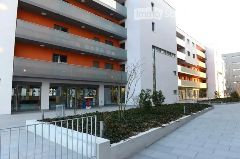 Lage Wohnung kleine Wiese 3.5 Zimmer