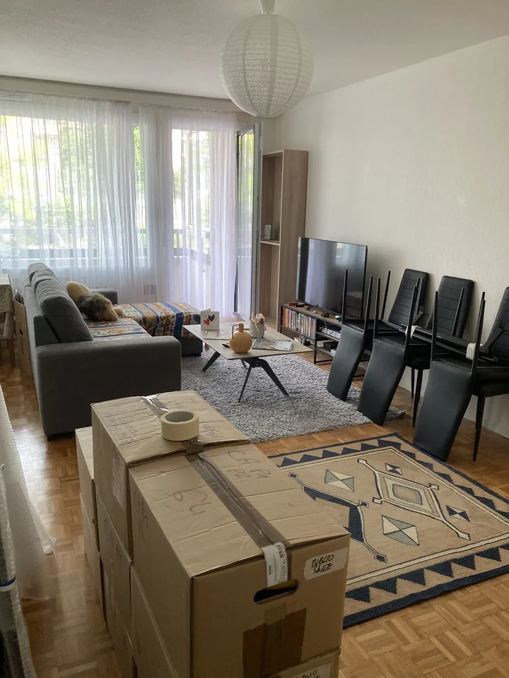 Bel appartement rénové proche de toutes les commodités