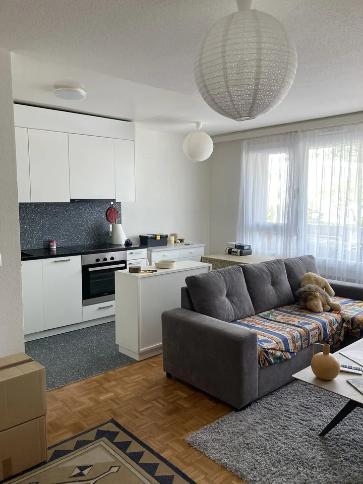 Bel appartement rénové proche de toutes les commodités