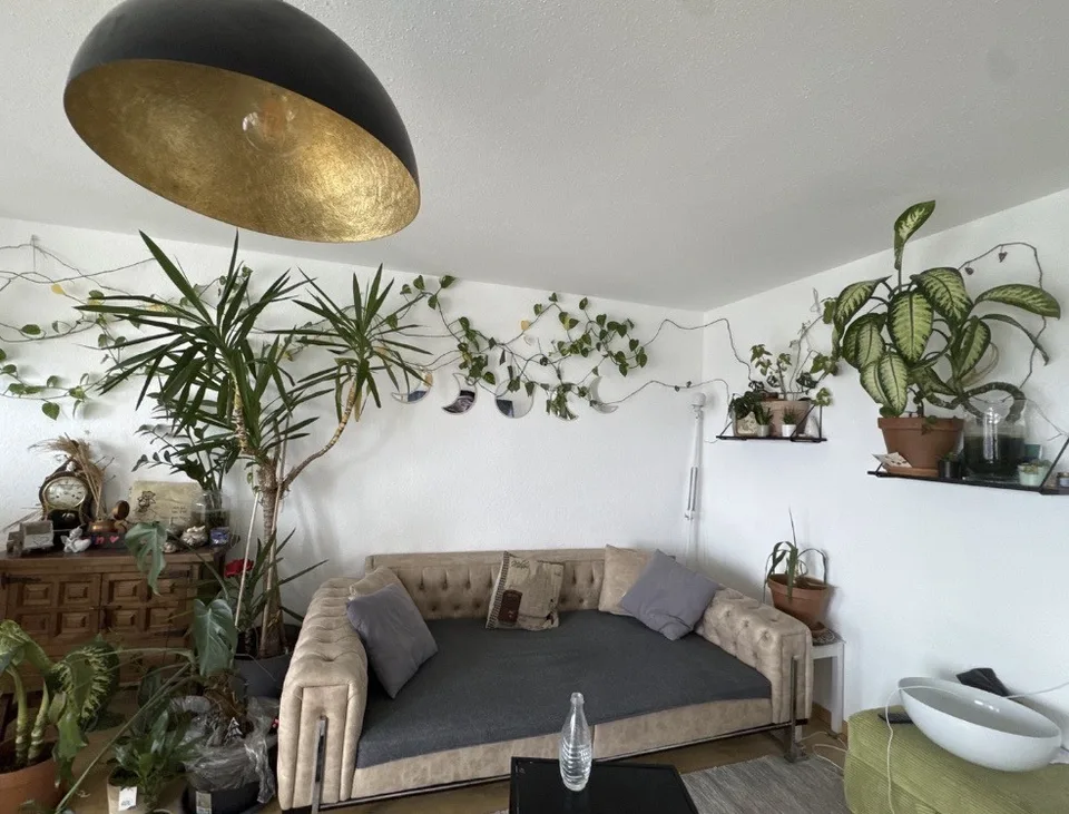 Recherche de sous-locataire pour appartement lumineux et spacieux de 4,5 pièces à partir de la mi-septembre
