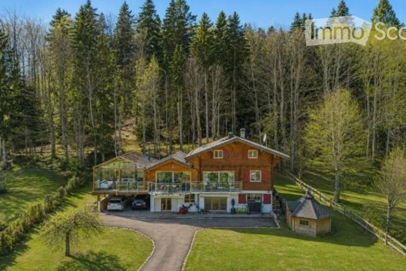 Magnifique villa-chalet vue lac