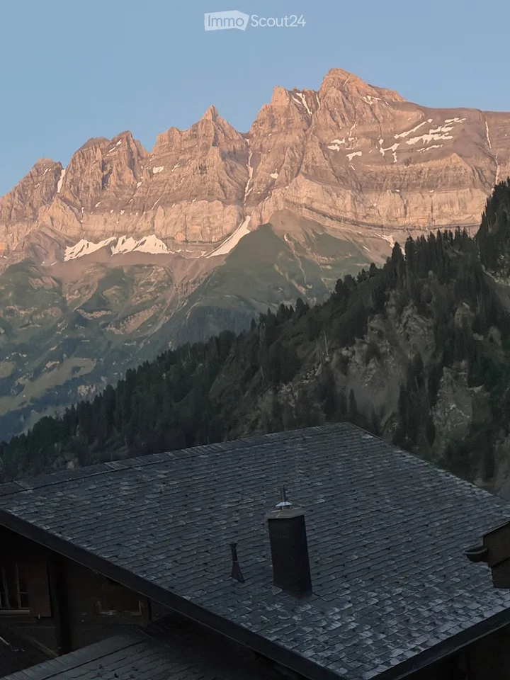 Location par année