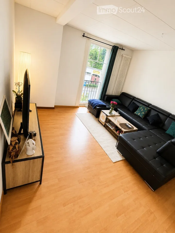 Schönes helles Apartment - 3,5 Zimmer