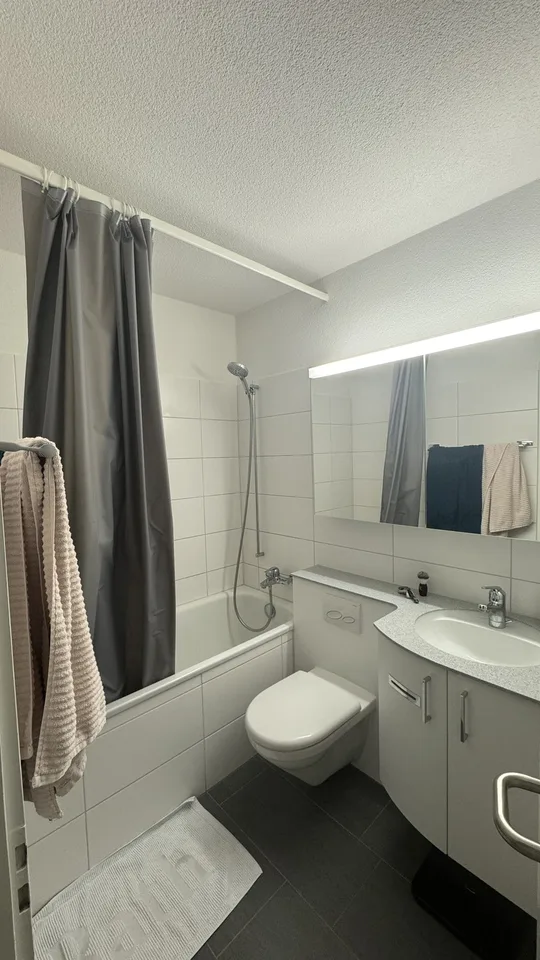 1.5 room apartment in Dübendorf (6 months)