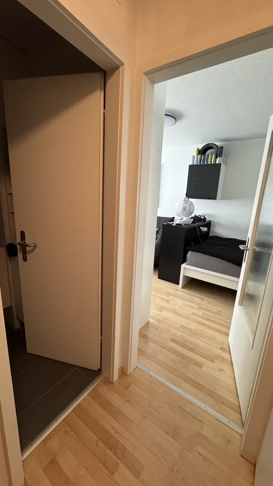 1.5 room apartment in Dübendorf (6 months)
