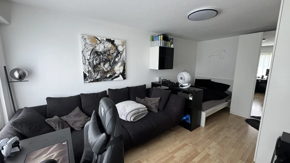 1.5 room apartment in Dübendorf (6 months)