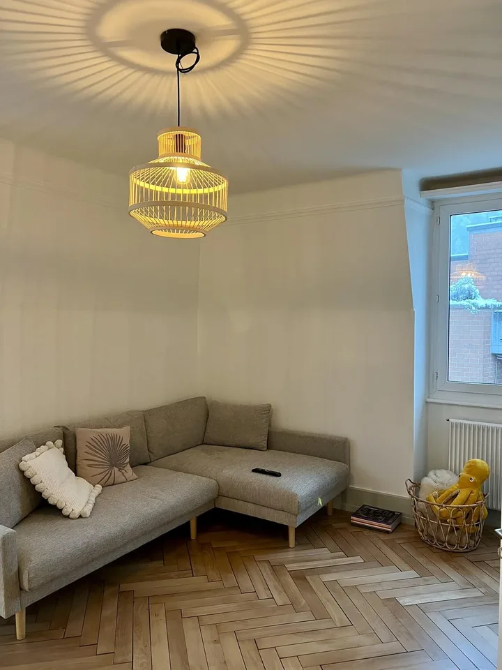 Freie Altbauwohnung (3 Zimmer) an der Reuss & neben Kantonsspital Luzern