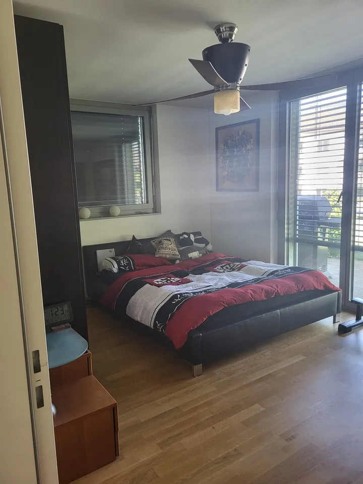 Beautiful Green Apartment Central Zurich