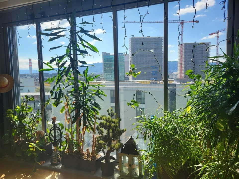 Beautiful Green Apartment Central Zurich