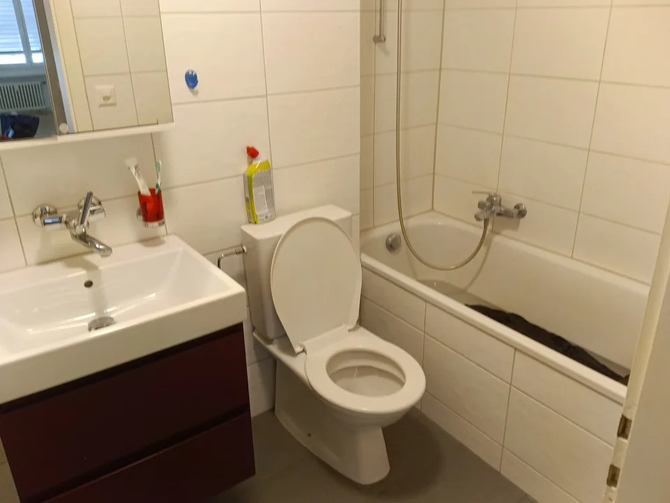 Suche MB für helle 3 Zimmerwohnung an der Reus