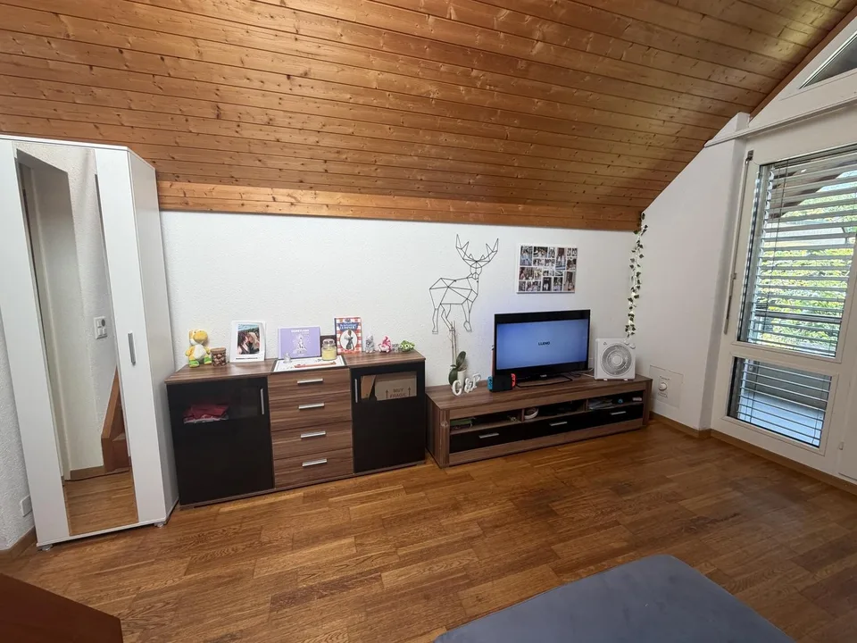 Traspaso de alquiler  Apartamento 1.5 en Witikon (Zürich). Lease Transfer  1.5-Room Apartment