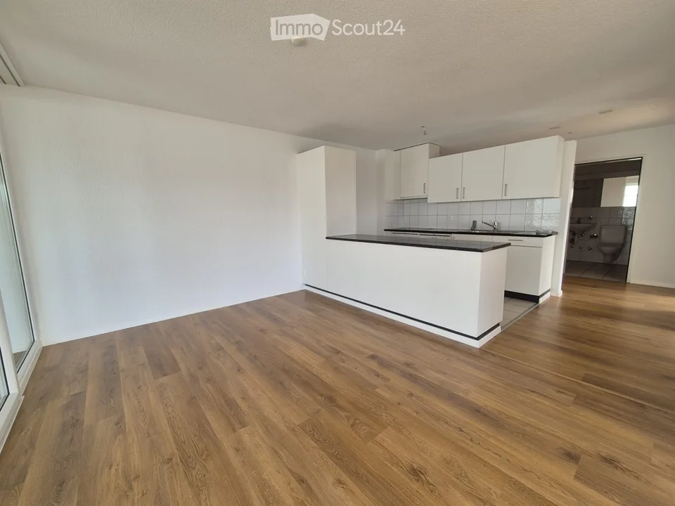 Sous-locataire : Appartement 3,5 pièces lumineux avec loggia