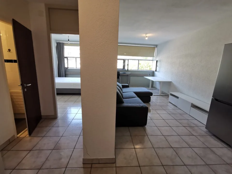 3-pièces appartement lumineux au coeur de Genève