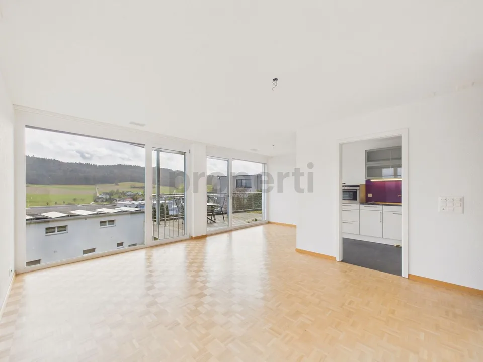 Neu renovierte 2.5-Zimmer-Eigentumswohnung mit Minergie-Standard, Safenwil