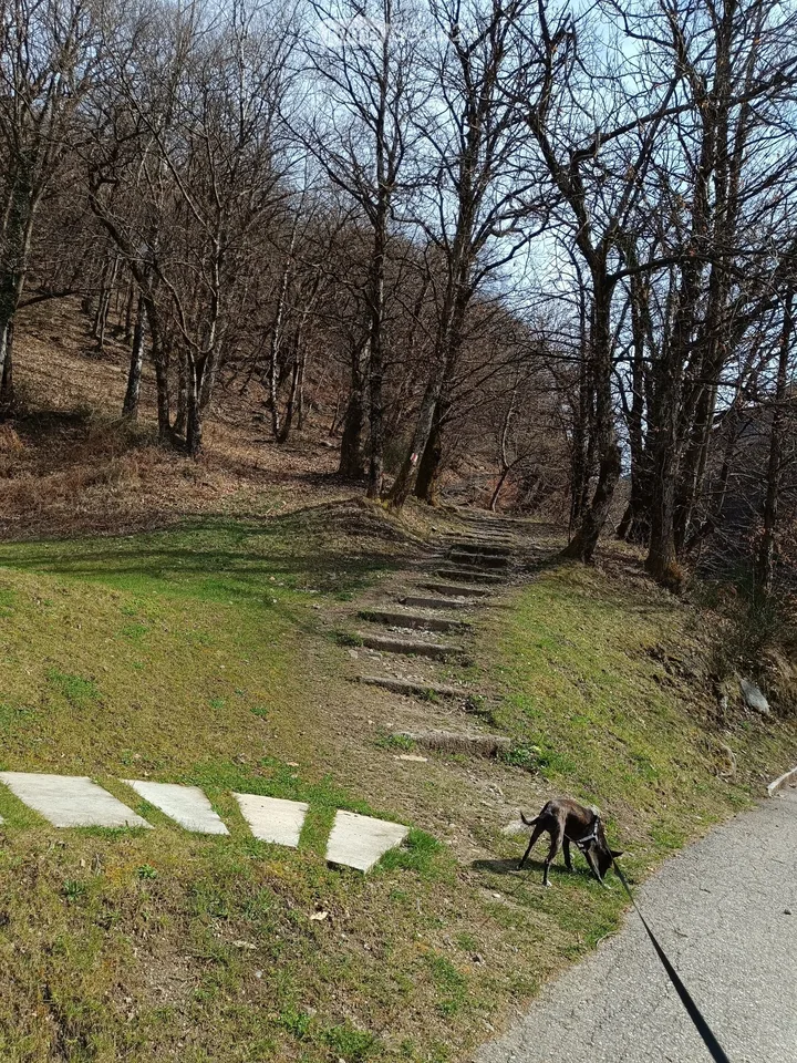 2.5 locali a 1'375 TC