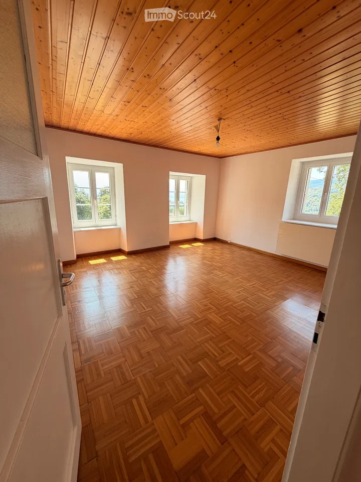 Großes, helles 3,5-Zimmer-Wohnung, frisch renoviert
