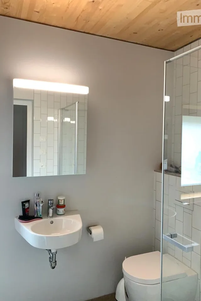Attraktive 3,5 Zimmerwohnung mit Sitzplatz im schönen Haslital