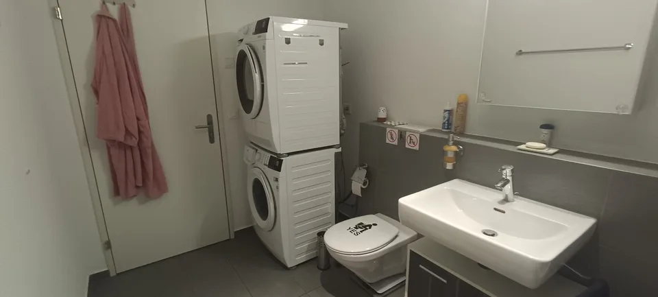 1.5 Room Apartment Modern