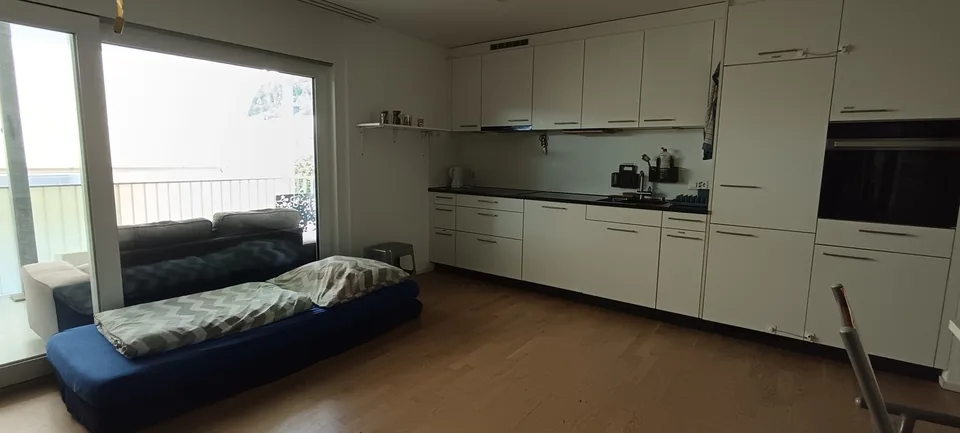 1.5 Room Apartment Modern