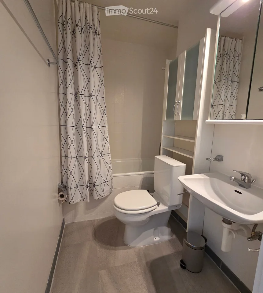 Furnished apartment in Lausanne city center