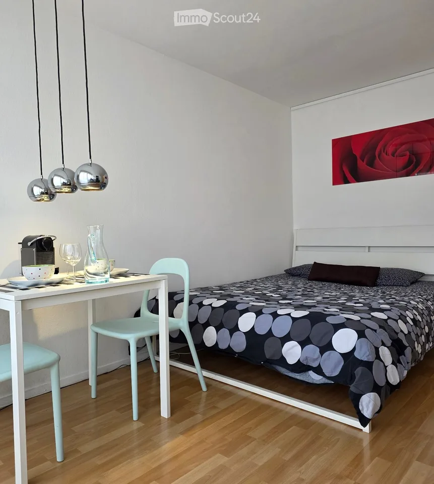 Furnished apartment in Lausanne city center