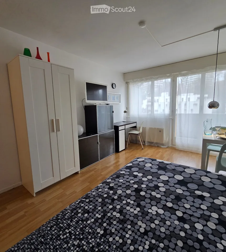 Furnished apartment in Lausanne city center