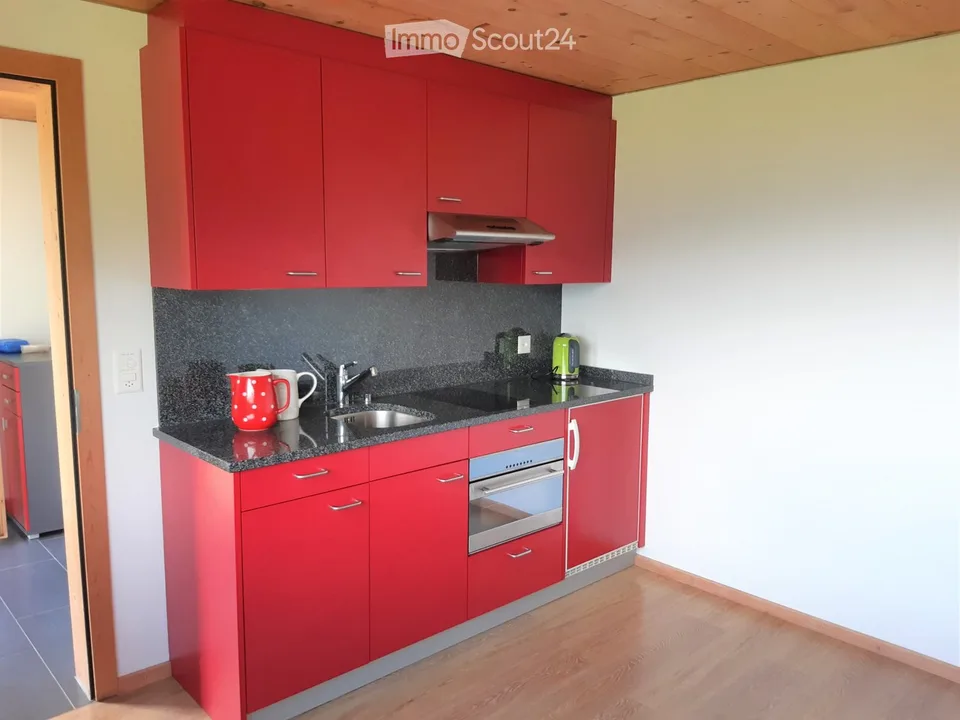 Apartment for long-term rent or holiday rental