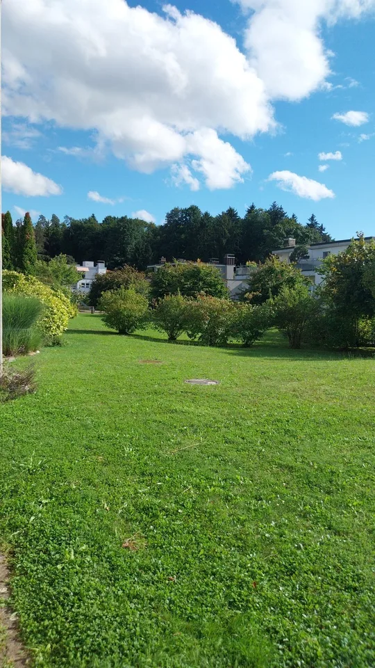 WG in (Birmensdorf Haslen) Uitikon Waldegg area/accanto a Triemli (periferia di Zurigo)
