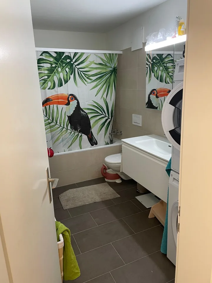 3.5 Room Apartment