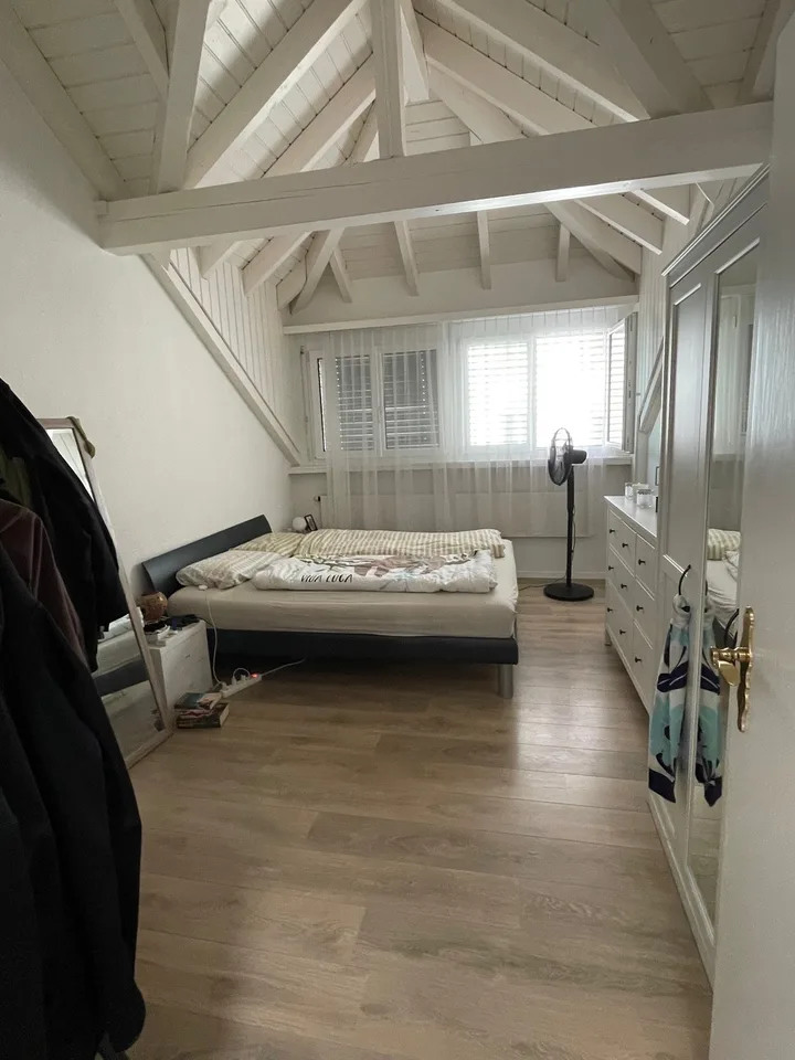 möblierte Dachwohnung (für 4 Monate) zur Untermiete