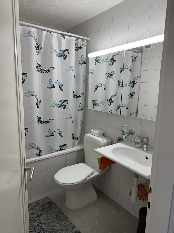 Tenant for 4-room apartment