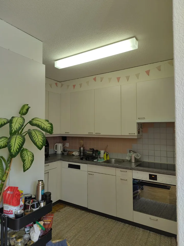 Housemate wanted!