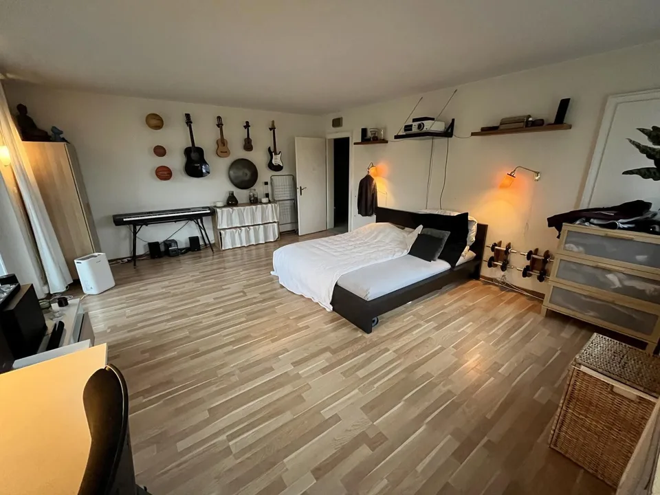 Grande chambre de colocation lumineuse disponible de mi-septembre à fin janvier / mars