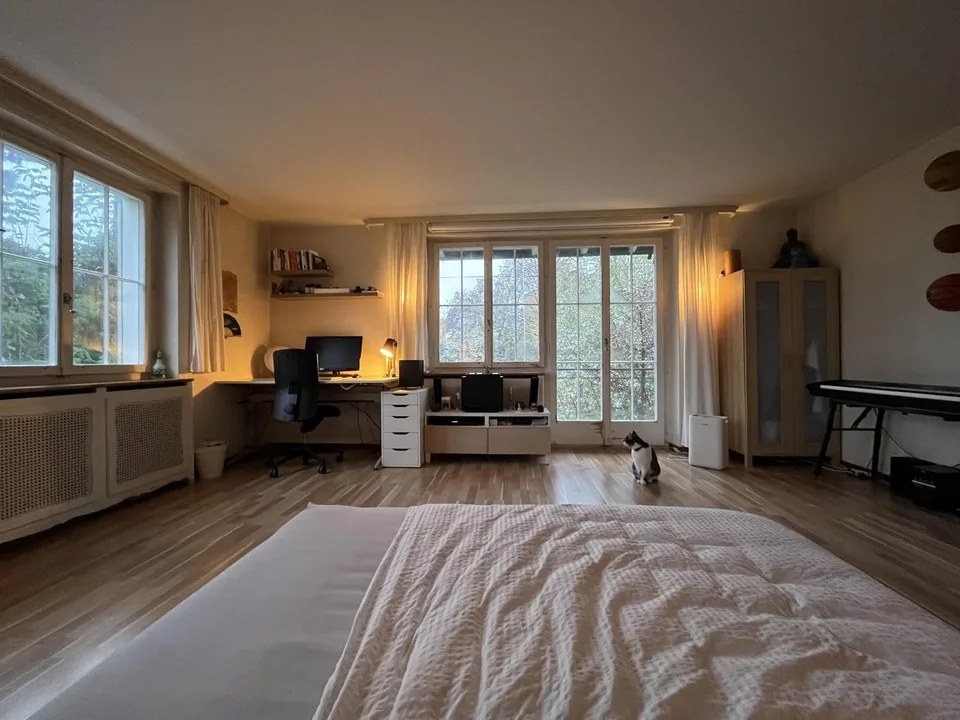 Grande chambre de colocation lumineuse disponible de mi-septembre à fin janvier / mars