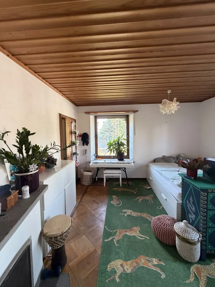 Room in shared apartment with chimney available from September 1