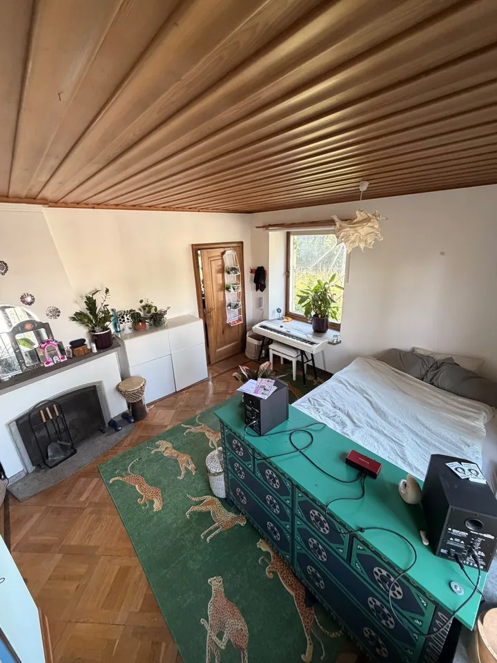 Room in shared apartment with chimney available from September 1